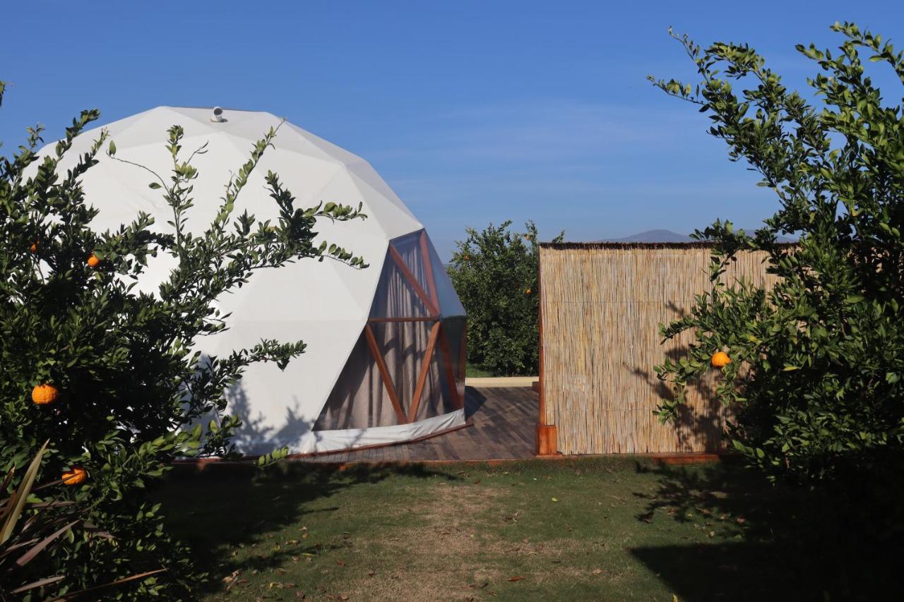 Mandalin Glamping Selçuk Exterior foto