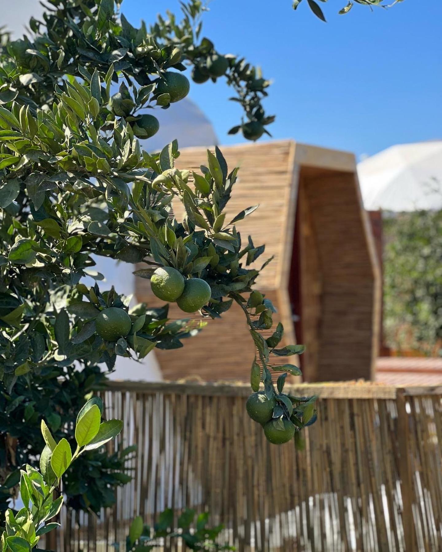 Mandalin Glamping Selçuk Exterior foto