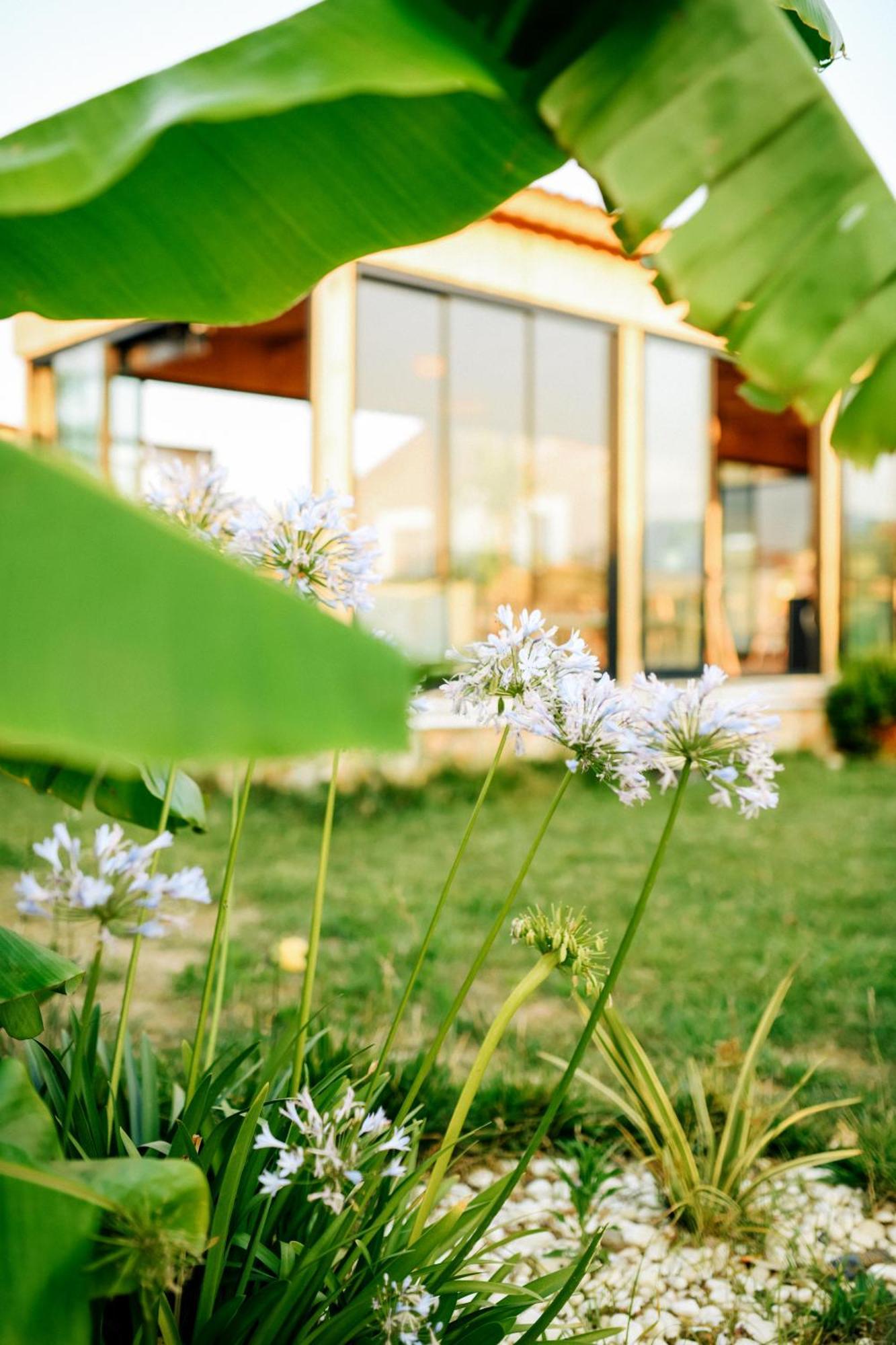 Mandalin Glamping Selçuk Exterior foto